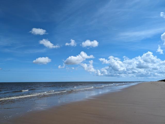 Norfolk Wildlife Trust